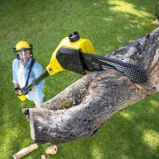 Best Lawn Mowing Services  in Holyoke, MA