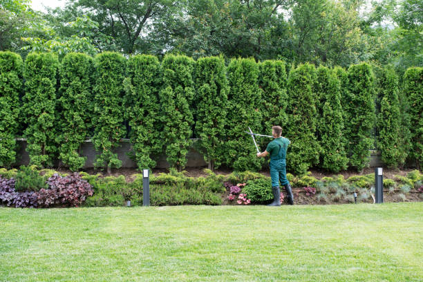 Best Lawn Watering Services  in Holyoke, MA